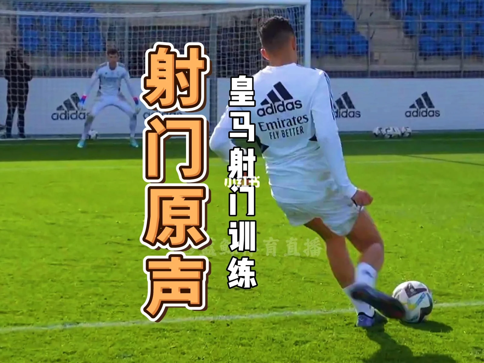 蓝鲸体育直播app下载_(蓝鲸体育直播蓝鲸足球直播)