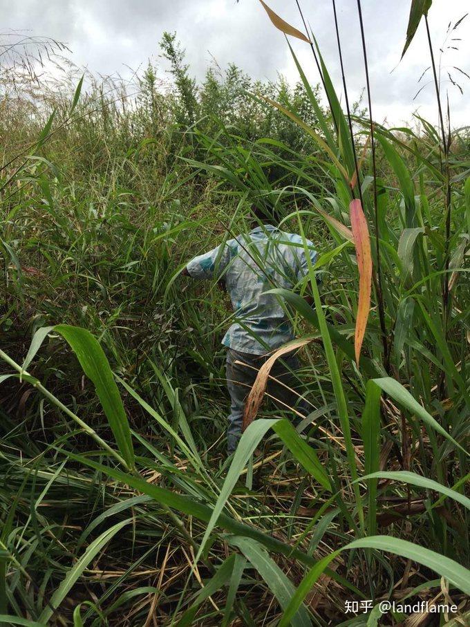 坦桑超:喷泉门VS坦桑尼亚监狱的简单介绍 第2张 坦桑超:喷泉门VS坦桑尼亚监狱的简单介绍 第2张