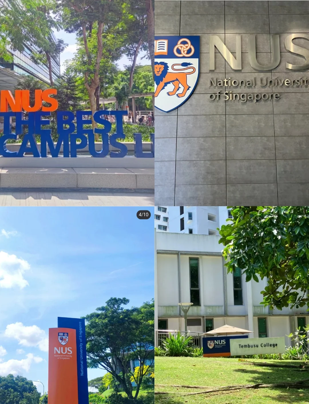 关于NCAA:加州大学戴维斯分校VS拉法叶学院的信息  第1张