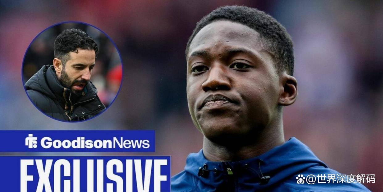 埃弗顿四名租借球员即将离队均为租借期满的简单介绍 第2张 埃弗顿四名租借球员即将离队均为租借期满的简单介绍 第2张