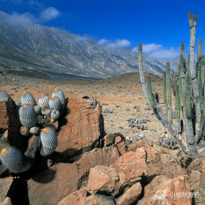 关于智利乙:安图法加斯塔VS迪康塞普森的信息 第2张 关于智利乙:安图法加斯塔VS迪康塞普森的信息 第2张