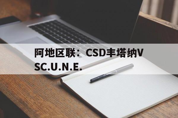 阿地区联：CSD丰塔纳VSC.U.N.E.的简单介绍  第1张
