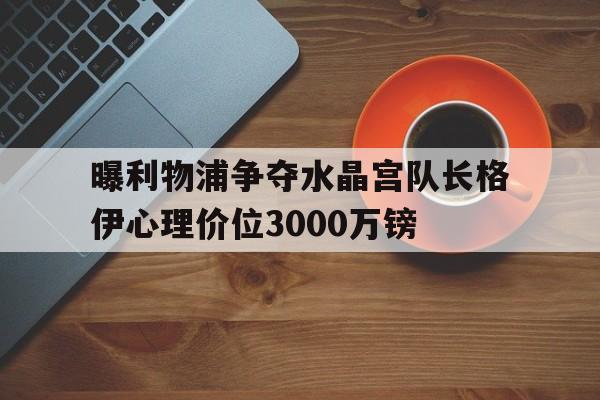 曝利物浦争夺水晶宫队长格伊心理价位3000万镑的简单介绍  第1张